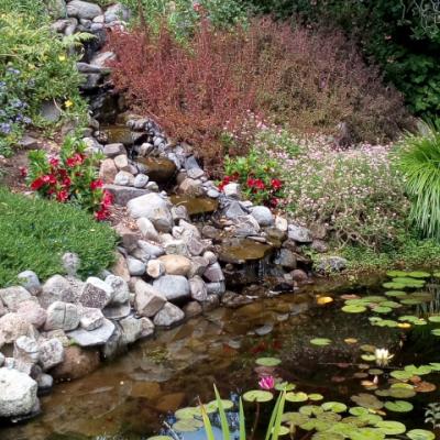 Steep stream feeding pond